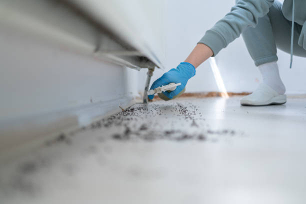 Best Flea Control Services  in Fostoria, OH